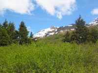 Grandview, Alaska