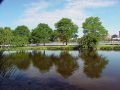 Trees along the banks of the Charles River in Boston MA 