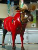 RCPM Moose in the CN Tower