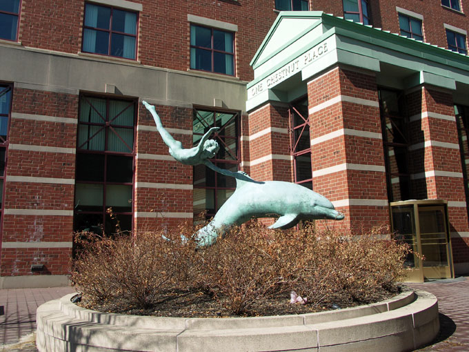 Dolphin Boy